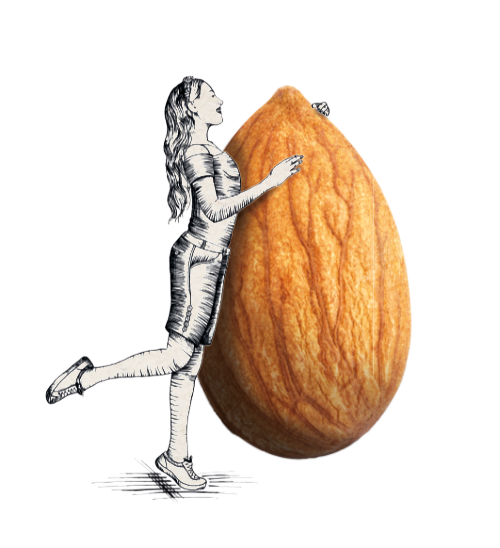 Mehr als eine harte Schale